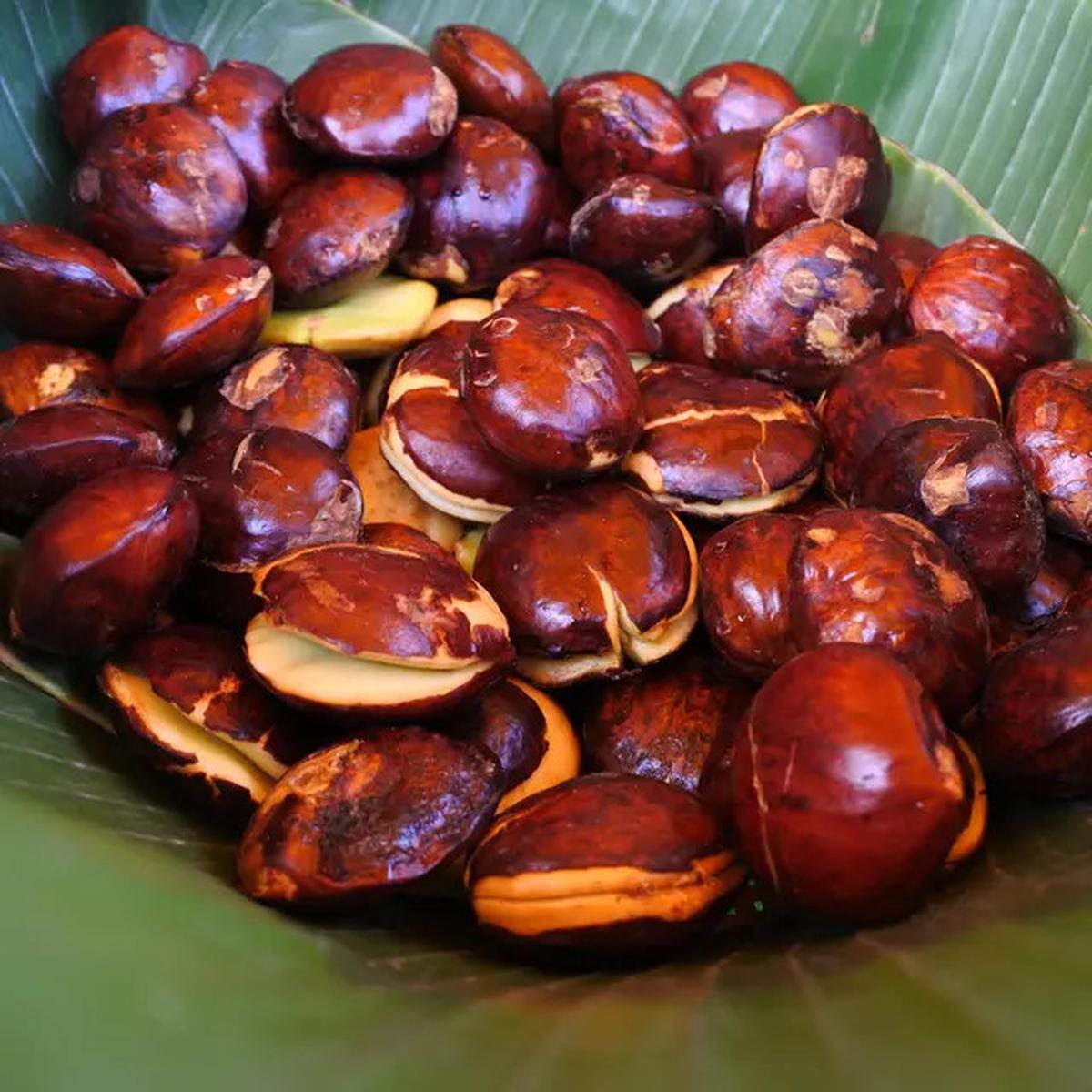 Cara Cepat Membuat Jengkol Empuk dalam 5 Menit Tanpa Panci Presto