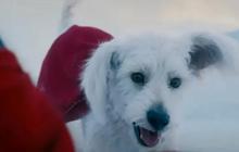 Yuk Kenalan Sama Krypto, Anjing Pelihaharaan Superman yang Punya Kekuatan Tak Terduga