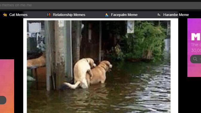 Cek Fakta  menelusuri klaim foto Anies Baswedan selfie saat banjir