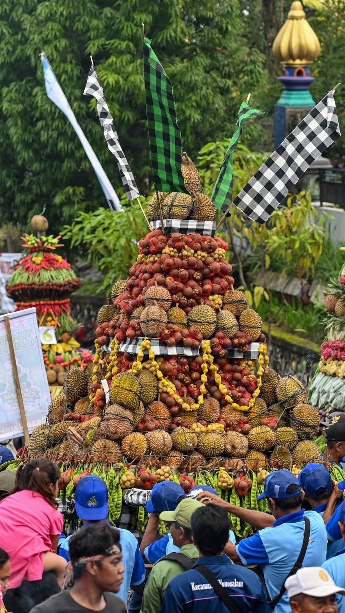 Sebelum puncak acara, festival ini sempat dibuka dengan penampilan kesenian lokal dan arak-arakan tumpeng berisi hasil bumi.&nbsp;Foto: JUNI KRISWANTO / AFP<br>