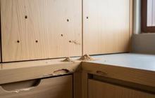 Menemukan Sarang Rayap di Rumah? Begini Langkah Aman Mengatasinya agar Tak Semakin Parah