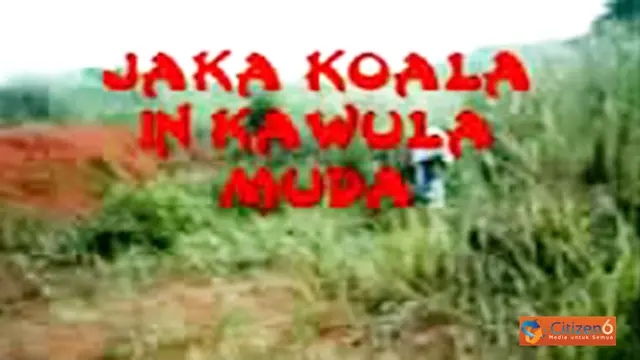 Jaka Koala In Kawula Muda