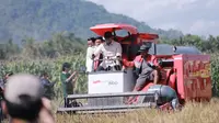 Wamen Pertanian Kunjungi Jember, Tekankan Produktivitas dan Swasembada Pangan