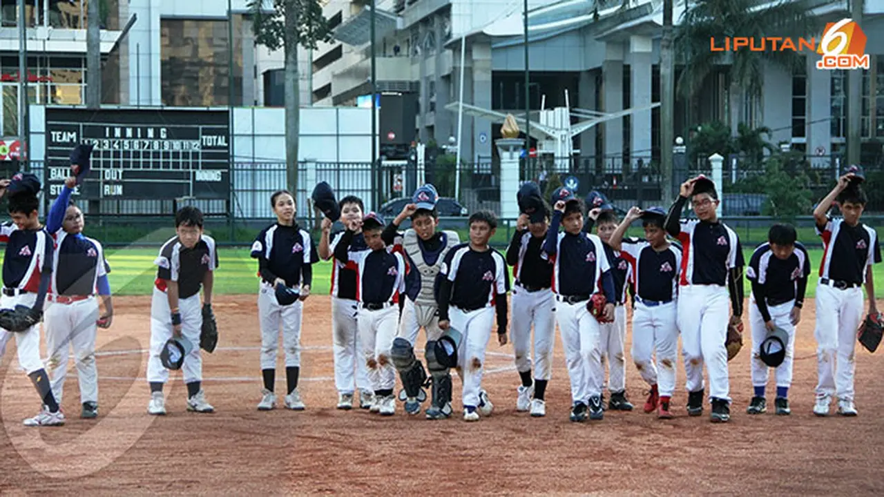 baseball-131225b.jpg