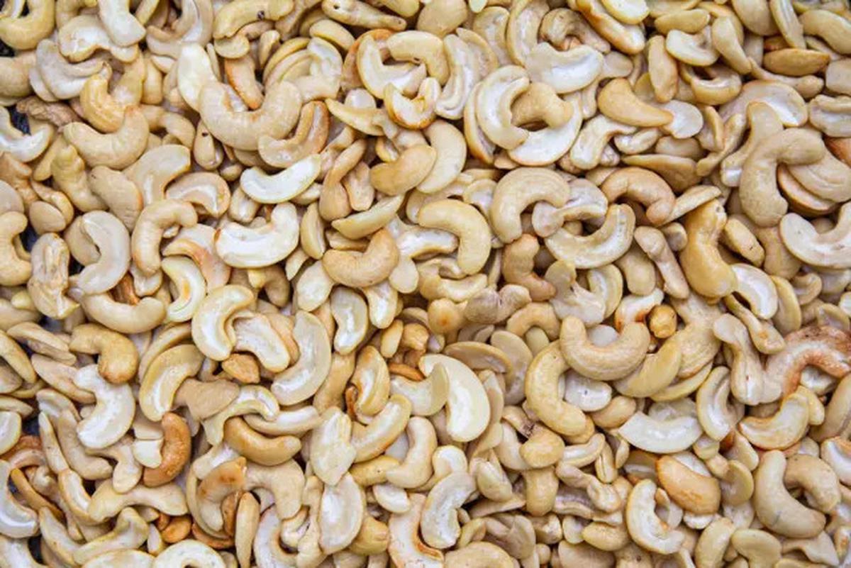 Manfaat Mengonsumsi Kacang Mete dalam Menurunkan Kolesterol Jahat