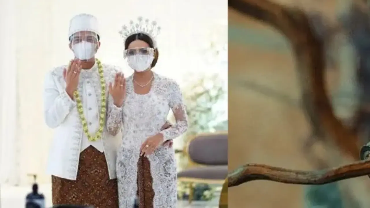 Model Cincin Emas yang Dipakai Seleb dan Artis, Inspirasi untuk Pernikahan di Tahun 2024