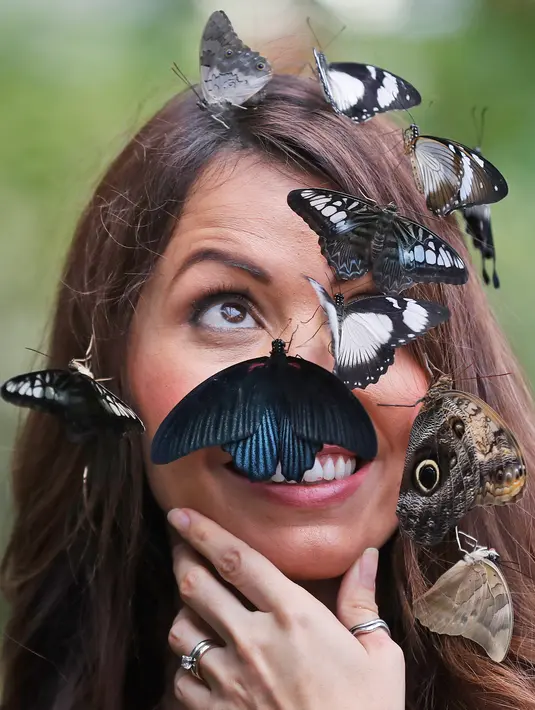 Seorang wanita bernama Jessie berpose saat wajahnya dipenuhi kupu-kupu dalam sesi foto di Wisley Gardens, Inggris (12/1). Ditempat ini kupu-kupu beraneka jenis dan spesies dijaga dan dibiarkan terbang bebas. (AP Photo / Frank Augstein)