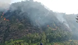 Kebakaran di Puncak Habibie Sukabumi Meluas, Ini Penyebabnya
