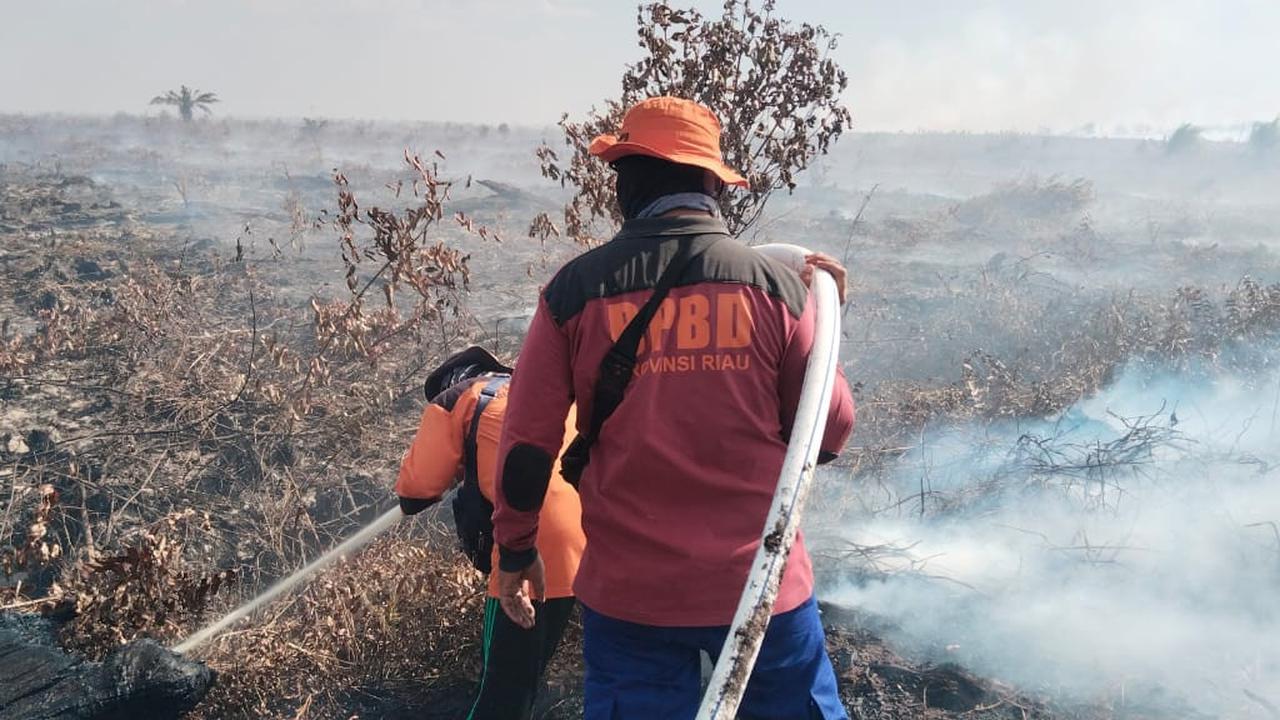 Kebakaran Hutan Meluas di Riau, Kabut Asap Pekat Sulitkan Pandangan hingga Berhembus ke Malaysia