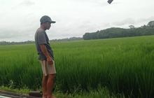 Pemkab Lebak Tegas Lindungi Kawasan LP2B Seluas 28.100 Hektare dari Alih Fungsi Lahan
