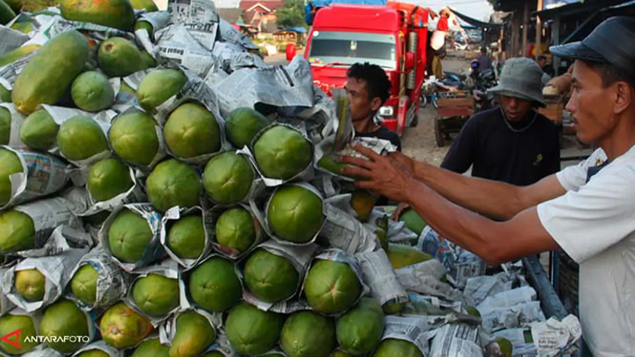 buah-lokal130512b.jpg