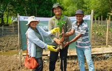 Lewat Ayo Beraksi, Telkom Perkuat Rehabilitasi Mangrove di Kawasan Pesisir Semarang