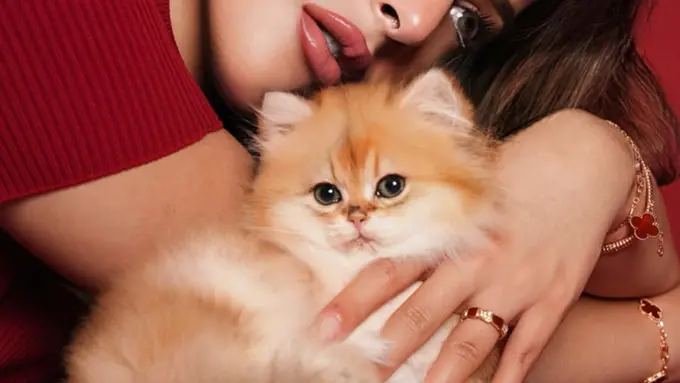 Adopsi Anabul, Tasya Farasya Tampil Totalitas dengan Makeup Glow Glam dan Full Lips