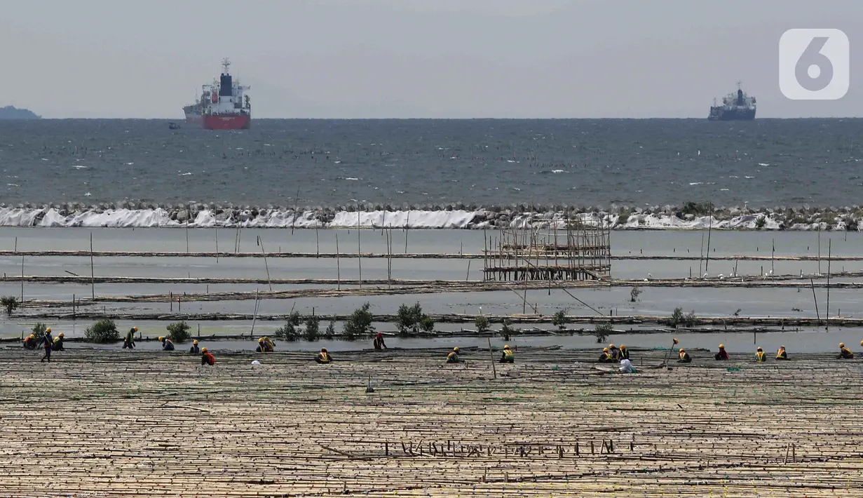 Aktivitas pekerja di tanah milik PT Pelabuhan Indonesia (Persero) atau Pelindo yang akan digunakan sebagai lokasi relokasi Depo Pertamina Plumpang terletak di NPCT 2, Koja, Jakarta Utara, Selasa (7/3/2023). Tanah seluas 23 hektare ini akan menjadi lokasi relokasi Depo Pertamina Plumpang yang direncanakan selesai Desember 2024. (Liputan6.com/Herman Zakharia)