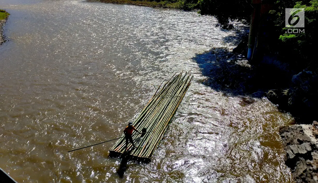 Para pengambil bambu ini mengaku sering melihat buaya yang menampakan diri ke permukaan, namun hanya tongkat yang mereka peganglah yang menjadi salah satu senjata untuk menakuti reptil tersebut selama bertahun-tahun. (Liputan6.com/Arfandi Ibrahim)