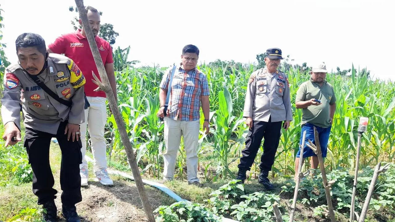 jebakan tikus listrik