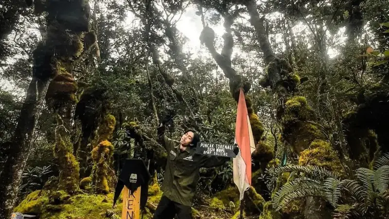 Gunung Torenali merupakan bagian Taman Nasional Lore Lindu di Sulawesi