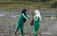 Tahukah Anda, Satu Hektar Hutan Mangrove Serap Karbon 5x Hutan Biasa? Penanaman Mangrove Pelajar Aceh Lahirkan Generasi Hijau