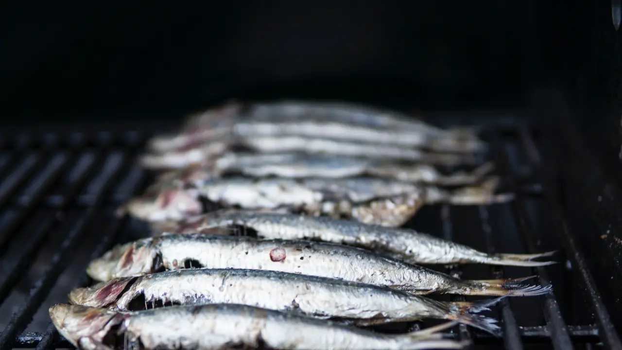 Ikan Patin