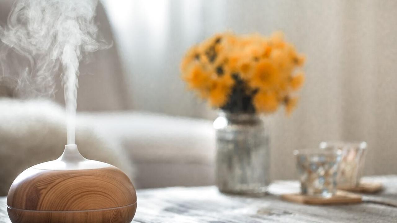 Ornamen yang Bikin Ruangan terlihat Alami