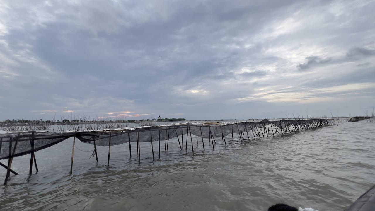 Pagar Laut Bambu Sepanjang 30 KM di Pantura Tangerang