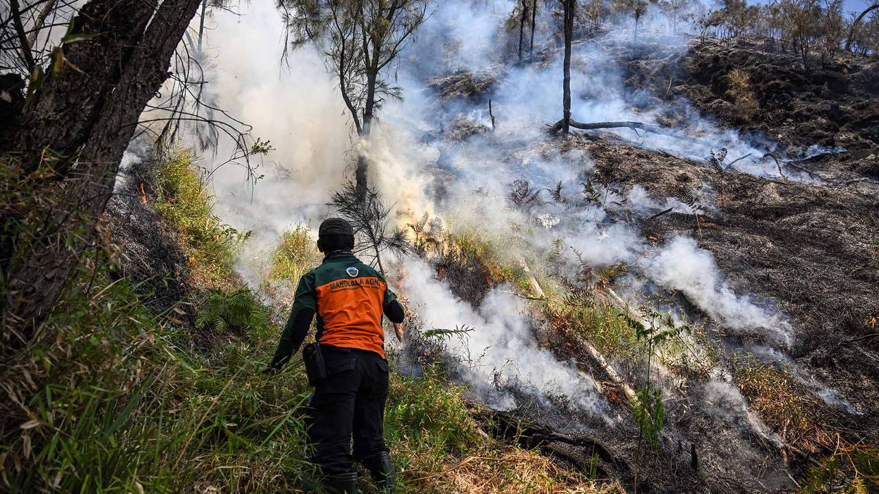 Pemadaman Terus Dilakukan Cegah Api Meluas di Gunung Bromo
