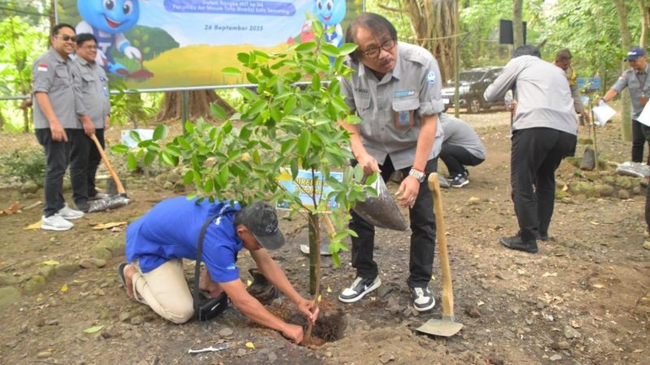 Fakta Unik: Sumber Air Kalidoh Berdiri Sejak 1932, PDAM Semarang Gencarkan Penghijauan 5 Titik Sumber Mata Air