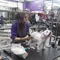 Dari Cukur Bulu hingga Mandi Mengintip Cuan Bisnis Pet Shop
