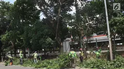 Suasana saat petugas memangkas dahan pohon yang rimbun di sepanjang Jalan Lenteng Agung Raya, Jakarta Selatan, Rabu (2/1). Pemangkasan dilakukan guna mencegah pohon tumbang akibat musim hujan dan angin kencang. (Liputan6.com/Immanuel Antonius)