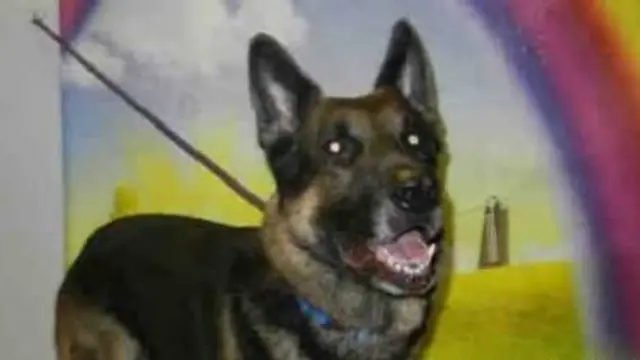 Foto: Copyright Oddee.com