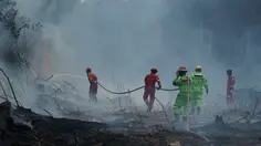 Berau Coal Kerahkan Tim Emergency Response Group Tangani Karhutla