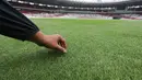 Tangan wartawan memegang rumput Stadion Utama Gelora Bung Karno (SUGBK), Jakarta, Jumat (11/8/2024).  (Bola.com/M Iqbal Ichsan)