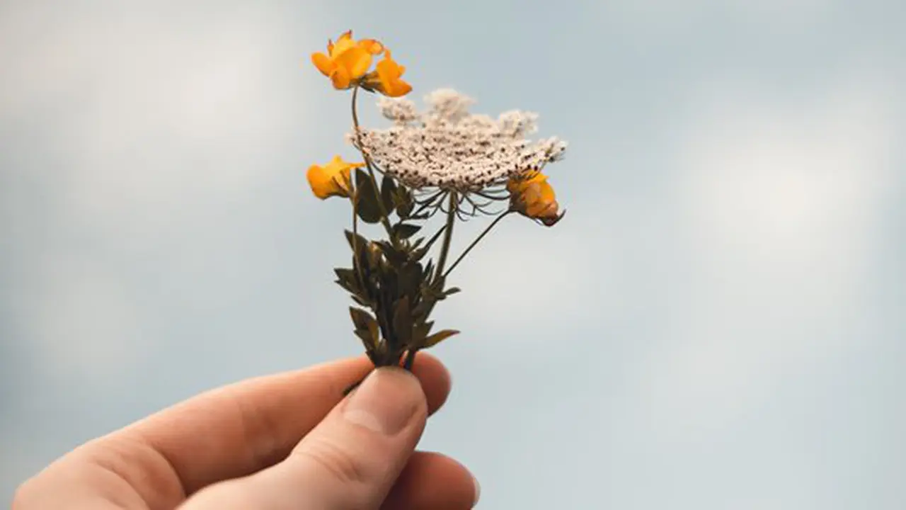 Ilustrasi./Copyright unsplash.com/isaac mehegan