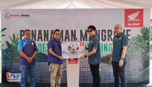 Lestarikan Pesisir Belitung, Honda Babel Tanam 500 Pohon Mangrove