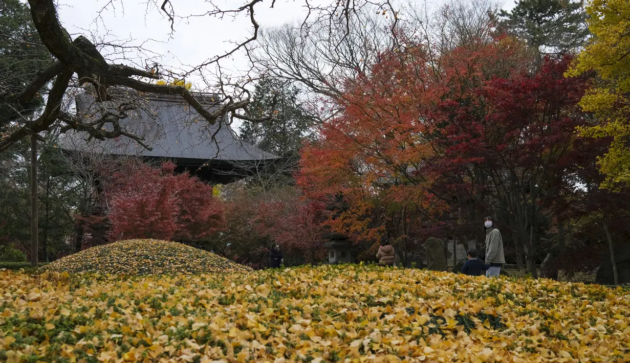 Orang-orang yang mengenakan masker mengunjungi kuil Buddha Joshinji sambil mengamati warna dedaunan musim gugur di Tokyo, Jepang pada 9 Desember 2020. (AP Photo/Kiichiro Sato)