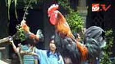 liputan6