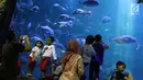 Pengunjung mengambil foto dengan latar belakang aquarium Sea World, Jakarta, Sabtu (16/6). Atraksi bermain bola di dalam aquarium Sea World untuk menyemarakkan ajang Piala Dunia 2018 yang berlangsung di Rusia. (Liputan6.com/Immanuel Antonius)