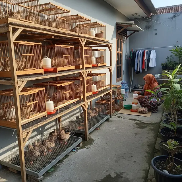 9 Ternak Rumahan yang Cocok untuk Ekonomi Keluarga Sederhana, Cuan dari Pekarangan Sendiri