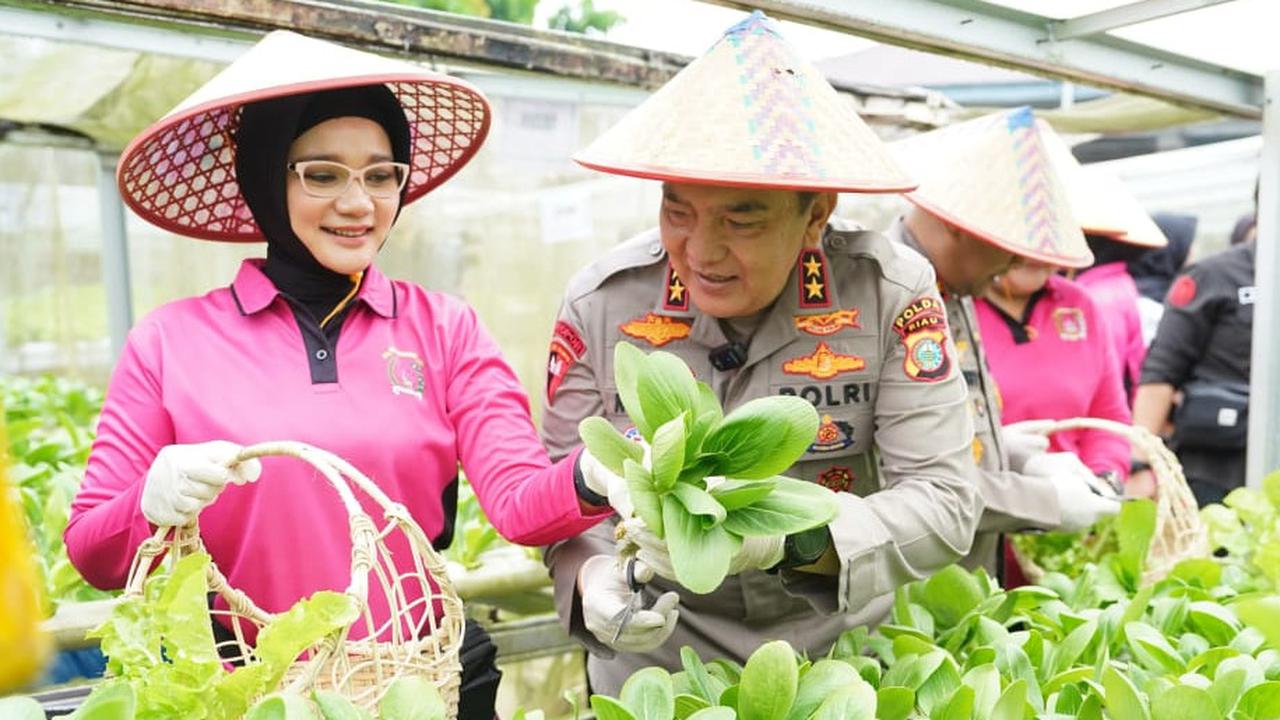 Ketahanan Pangan ala Polda Riau, Jadikan Pekarangan Kantor Polisi Kebun Sayur hingga Budidaya Ikan