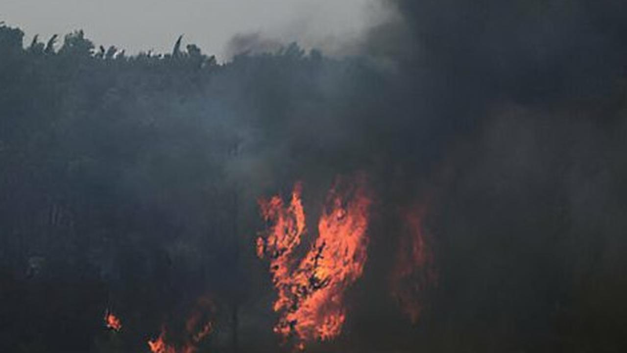 Dua Negara Ini Tolak Kirim Pesawat Pemadam Api ke Israel