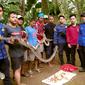Anggota Pemadam Kebakaran dan Penyelamatan Kota Depok melakukan evakuasi ular sanca di permukiman warga di Gang Pusara RT 1/5, Bojongsari, Kota Depok, Selasa (24/11/2020). (Liputan6.com/Dicky Agung Prihanto)
