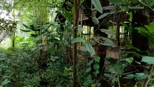 Rumah Singgah Ahmad Dhani (YouTube/Aziz Nurahman)