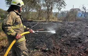 30 Hektare Lahan di Rorotan Terbakar, Diduga Sengaja Dibakar