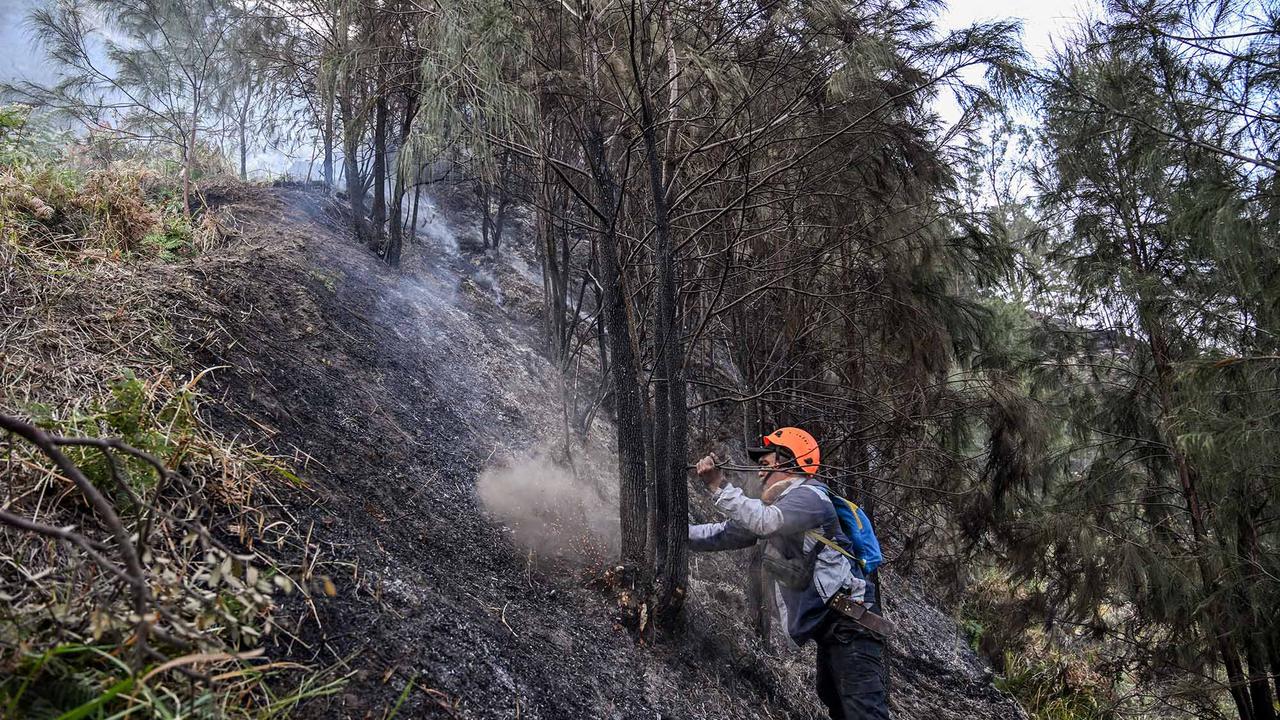 Karhutla Gunung Bromo Meluas Hingga 550 Hektare
