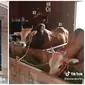 Video Kandang Sapi di Madura Gunakan Rumah Mewah Ini Jadi Sorotan (sumber: TikTok.com/@leonardyoriko)