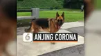 THUMBNAIL HERDER