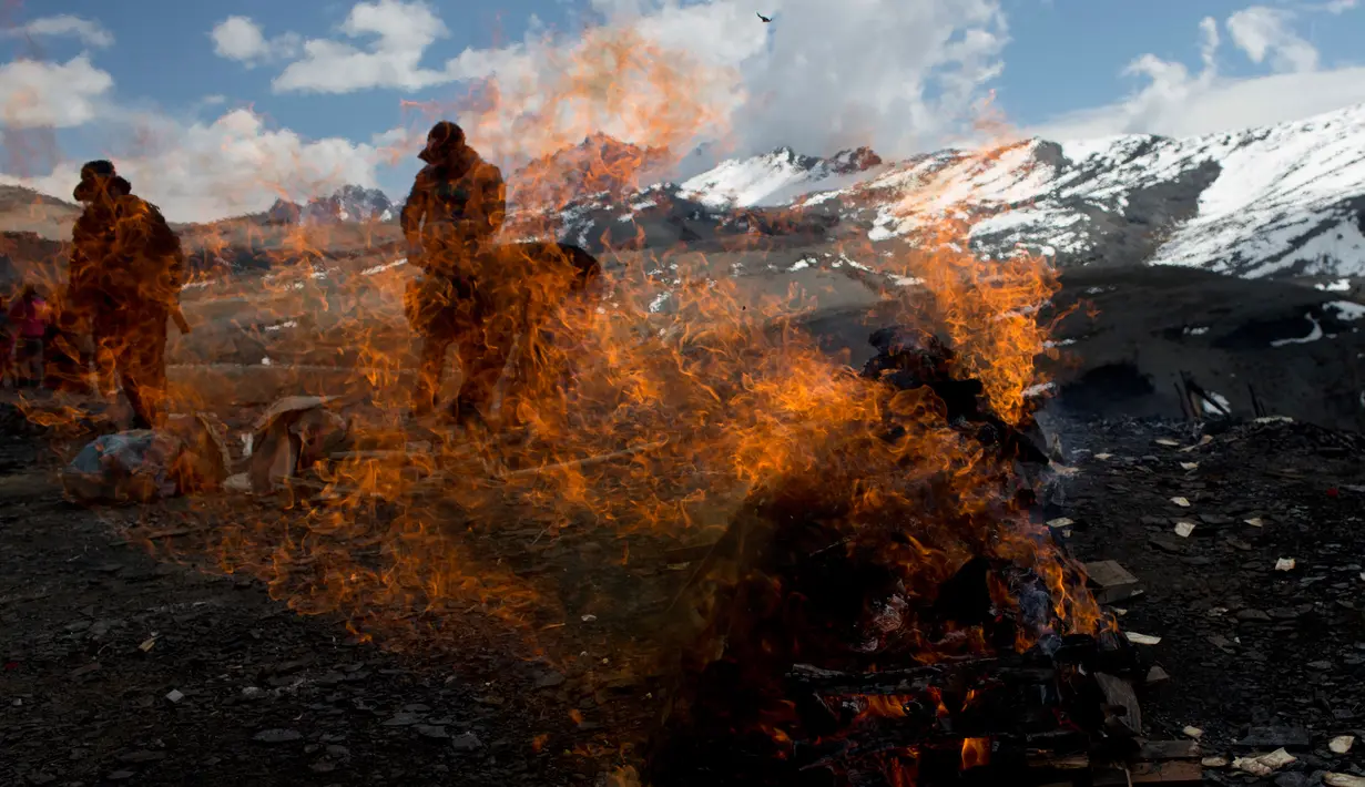 Llama muda dibakar sebagai persembahan ritual Pachamama atau Ibu Bumi di gunung La Cumbre, pinggiran La Paz, Bolivia, Rabu (1/8). Bulan Agustus, orang-orang berkumpul melakukan persembahan menghormati dewi bumi dan meminta keberuntungan. (AP/Juan Karita)