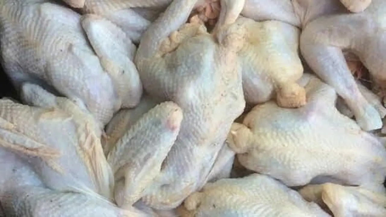 Cara Alami Mengempukkan Ayam Kampung dengan Cepat, Tanpa Daun Nangka