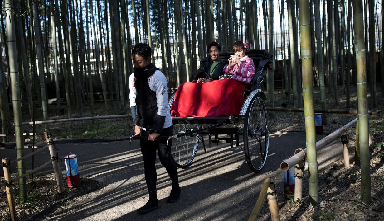 Wisatawan menaiki becak untuk berkeliling Hutan Bambu Sagano di Arashiyama, Kyoto, Jepang pada 8 Desember 2018. Berada tidak jauh dari pusat kota Kyoto, hutan ini menjulang tinggi di tengah-tengah kota. (Behrouz MEHRI / AFP)