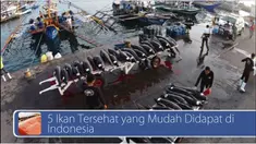 Berikut ini, ada lima ikan tersehat yang sangat berguna bagi manusia dan ratusan miliar rupiah menuju ajang Formula 1
